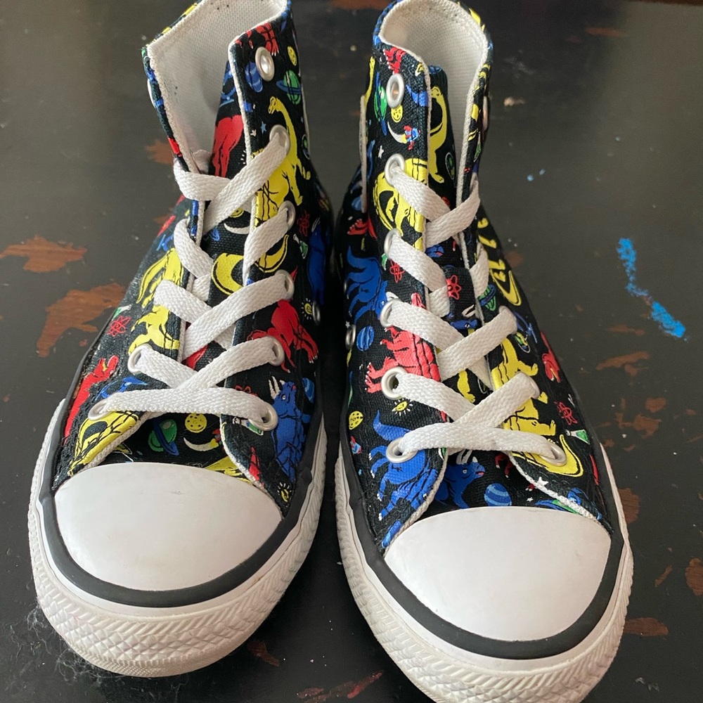 Used Like New Converse Dinosaur Hi-tops Size 13